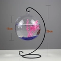 Hanging glass fish bowl with a black metal stand and 15cm sphere diameter dimensions - Black Stand/Round Bowl (Size L)/With Decor