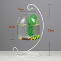Hanging clear glass fish bowl with white metal stand and interior decorative plants - White Stand/Capsule Bowl (Size M)/With Decor