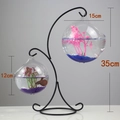 Black iron stand with two clear glass globes for fish or plants, 35cm total height - Double Hook Black Stand/Twin Wide Mouth Bowls/With Decor