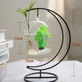 Moon shaped iron stand with 27cm height and small round glass fish bowl micro landscape - Moon Black Stand/Capsule Bowl (Size M)/With Decor