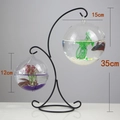 Hanging glass fish bowl set with black metal stand and two transparent spheres - Double Hook Black Stand/Wide Mouth & Round Bowl Combo/With Decor