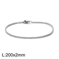 Sleek 2mm silver stainless steel rolo chain bracelet with lobster clasp 200mm length - Silver 2mm Width Style (KB126595-Z)