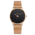 Modern rose gold men's quartz watch featuring a black dial and Milanese mesh strap. - Black Dial Rose Gold Case Rose Gold Band