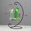 Hanging glass fish bowl with black metal stand and green plants, height 23cm - Black Stand/Capsule Bowl (Size M)/With Decor