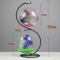Hanging glass fish bowl set with double globes and black S-shaped metal stand 33cm - S-Type Black Stand/Round & Capsule Bowl Combo/With Decor