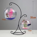 Set de pecera de cristal colgante con dos esferas en soporte de hierro negro de 35 cm - Soporte Negro de Doble Gancho + Cuenco Redondo (2 uds) + Decoración