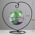 Close-up of hanging glass fish bowl with dimensions 23cm height and black heart stand - Heart Black Stand/Wide Mouth Bowl (Size M)