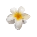 White and yellow plumeria flower hair claw clip with a glossy resin finish for women - Colorful Flower Claw [White]