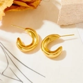 Close-up of chunky gold C-shaped geometric earrings on artistic stones and dried leaves - G-Shape Style (23991)