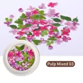 Nailart-Holzstoffblumen in Pink, Lila und Grün, 50 Stück pro runder Aufbewahrungsbox - 3# Rosa Lila Blätter (SP0014) / 50 Stk./Packung
