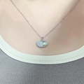8834 Argent