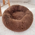 Dark Coffee