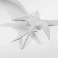 Steel Color|swallow