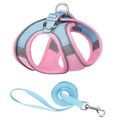 Pink and blue mesh dog harness and leash set with reflective trim for outdoor walking - XXS / Pink-Blue Mesh