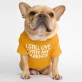 Yellow pet cotton T-shirt for French Bulldogs with white 'I Still Live With My Parents' slogan - Pattern A - Yellow / S