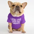 Purple pet T-shirt for French Bulldogs with 'I still live with my parents' slogan print - Pattern A - Purple / S