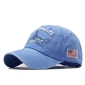 Detail der Hai-Stickerei und US-Flagge auf einer hellblauen gewaschenen Baumwoll-Baseballkappe - Himmelblau