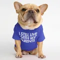 French Bulldog wearing a royal blue cotton T-shirt with I Still Live With My Parents print - S / I STILL LIVE WITH MY PARENTS / Royal Blue