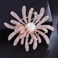 Broche feu d'artifice or rose avec perles et cristaux sur boîte de présentation - Blanc