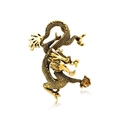 Detailansicht einer goldenen Drachenbrosche mit braunem Edelstein auf weißem Hintergrund - Goldener Drache (5109284685230) / Gold