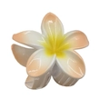 Candy-colored plumeria flower hair claw clip with yellow and pink gradient petals - Gradient Bauhinia Claw [Orange]