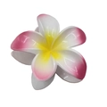 Pink and yellow gradient plumeria hair claw clip with glossy finish and secure grip - Gradient Bauhinia Claw [Rose Red]