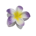 White and purple gradient plumeria flower hair claw clip with a bright yellow center - Gradient Bauhinia Claw [Purple]