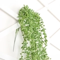 Detail der künstlichen Sukkulenten-Hängeranke mit grüner Erbsenpflanze am weißen Gitter - D23 Kleine Erbsenpflanze Wandbehang