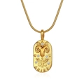 Gold-plated stainless steel Aries zodiac necklace featuring a zircon oval pendant - Aries
