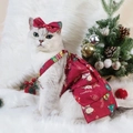 Robe de Noël rouge pour chiot avec imprimé renne et bandeau à nœud assorti - XS / Robe de Noël Rouge Vin avec Fleur de Cheveux