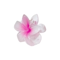 Pink gradient frangipani plumeria hair claw clip with golden metal spring - Rose Red
