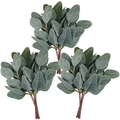 Detailed macro view of three artificial eucalyptus stems with frosted green leaves - Pointed Leaf without Berries [Eucalyptus]
