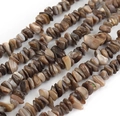 Makroaufnahme von unregelmäßigen natürlichen braunen Muschelperlen für DIY-Schmuck - Graue Muschelsplitter