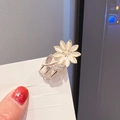 Detail der Blumen-Haarklammer aus Goldmetall mit Strass und cremefarbenen Blüten - LD26 Blumenstil / Gold