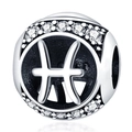 Macro shot of silver Pisces zodiac charm bead with clear cubic zirconia inlay - Pisces