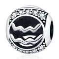 Makroaufnahme von Wassermann-Charm in Silber mit weißen Zirkonia und Wellensymbol - Wassermann