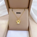 Vista macro del collar con colgante de estrella y circón en un estuche de joyería - Dorado (P111)