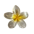 Translucent white plumeria flower hair claw clip with yellow gradient center - Pearly Plumeria Claw [Yellow]