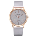Reloj YOLAKO de cuarzo para mujer con caja de oro rosa, esfera gris y malla de plata - Plateado