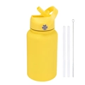 650ml yellow insulated sports water bottle with straw lid, carrying handle and brush - Lemon Yellow
