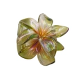 Iridescent candy-colored plumeria flower hair claw clip in translucent finish - Dazzle Transparent Plumeria [Green]