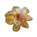 Translucent frangipani hair claw clip with colorful candy gradient and pearlescent finish - Dazzle Transparent Plumeria [Yellow]