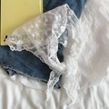 Style Dentelle Française (25)