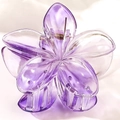 Sweet 4cm candy-colored purple gradient frangipani hair claw clip made of clear acrylic - 8cm / Transparent Purple