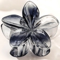 Sweet 4cm plumeria flower hair claw clip in elegant gradient grey resin finish - 8cm / Transparent Black