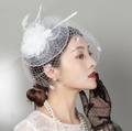 Eleganter weißer Vintage-Braut-Fascinator mit Netzschleier und dekorativen Federn am Clip - Weiß