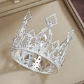 Silver Pointed Queen's Crown