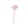 454-lotus