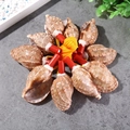 Macro shot of twelve natural shell whistles tied together with a yellow hanging cord - Starfruit Shell Whistle