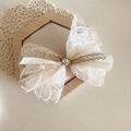 Détail du nœud en dentelle à paillettes beige avec un cœur en strass étincelant - Pince à Nœud Cœur en Strass (6cm)